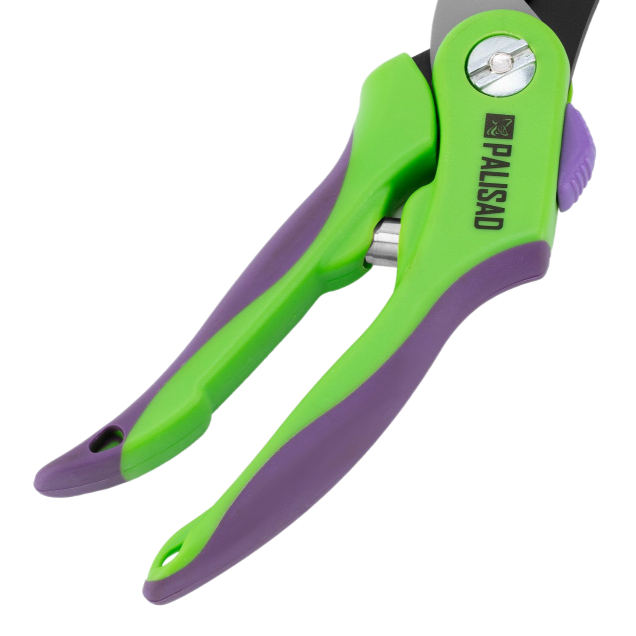 Remove-bg.ai_1750771182453
