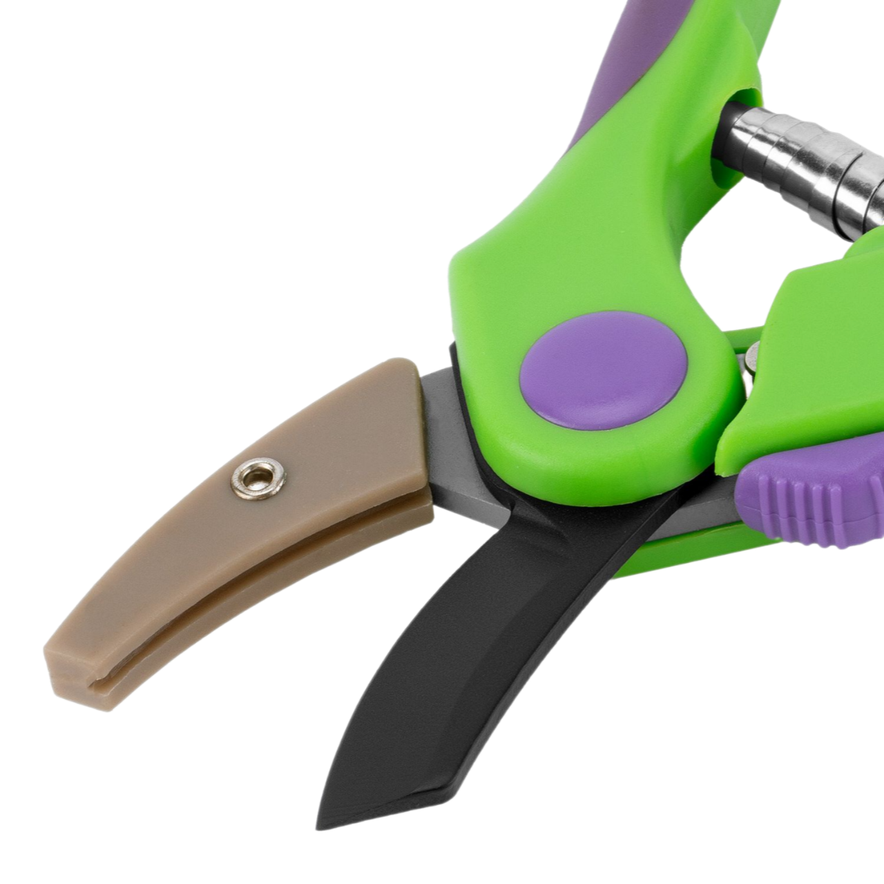 Remove-bg.ai_1750771178627