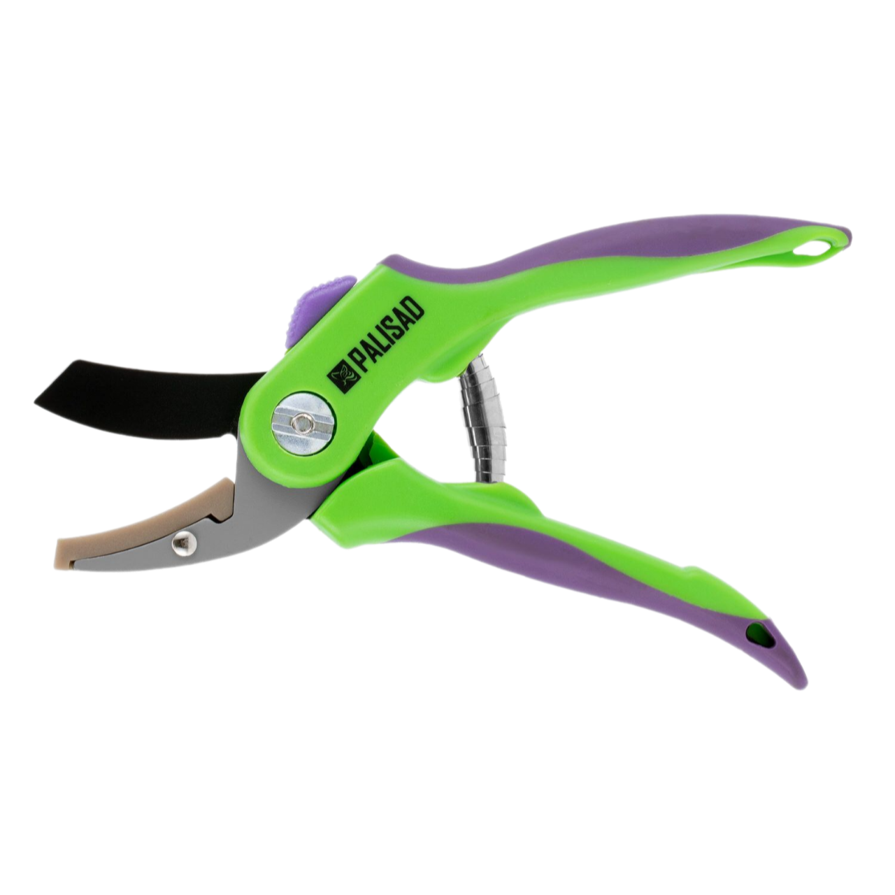 Remove-bg.ai_1750771176679